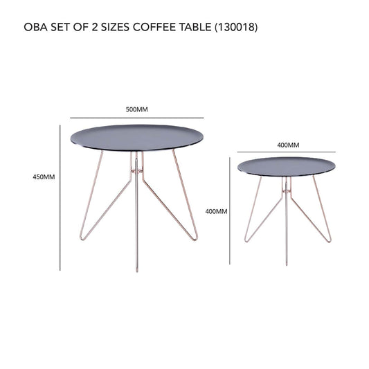 OBA SET 2 SIZES COFFEE TABLE