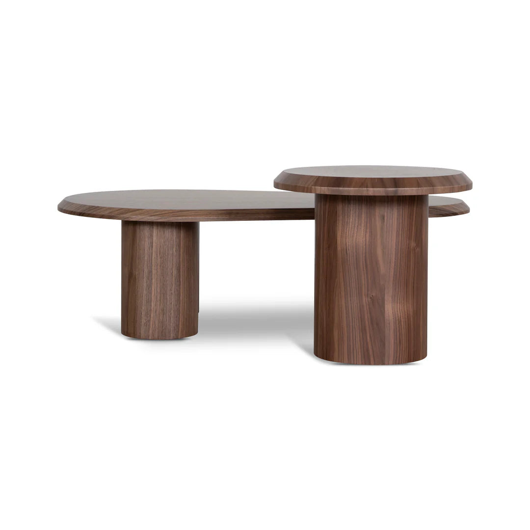 Chen Nested Black Coffee Table